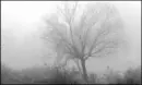Random nature