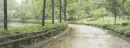 raining