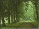 raining