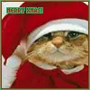 cat wishing merry xmas