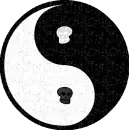 Ying Yang