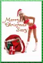 Merry Christmas Sexy
