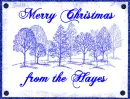 merry christmas from the hayes