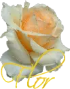 Flor