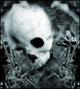 skull