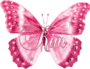 Name