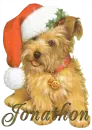 Santa Puppy - Jonathon