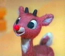 rudolph