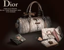 diorr bags