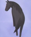 Rin Sohma Horse