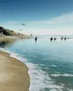 the sea