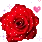 RED ROSE