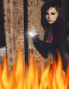 amy lee