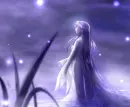 fireflies