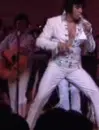 elvis