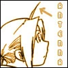 Fullmetal Alchemist