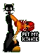pet my kittie.........