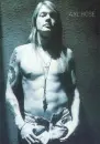 AXL ROSE