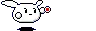 crazy bunny playing yoyo