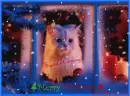Christmas Kitty