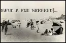 fun weekend
