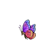Flying Butterfly