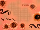 Sunflowers....