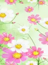 cute kawaii flowers