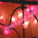Have a good night