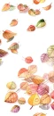 tree leaves