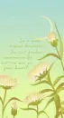 cute kawaii flowers under the moon