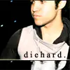 peter wentz 01