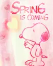 cute kawaii spring snoopy