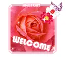 cute kawaii welcome