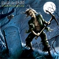 Iron Maiden