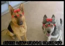 gurls just wanna have fun!
