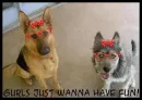 gurls just wanna have fun!