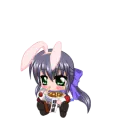 bunny