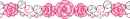 Rose pearl