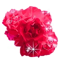 red rose bling