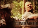 Stone Cold Steve Austin