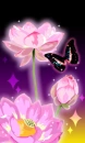 flower w/ butterfly