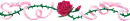 red rose w/ ribbon