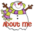 Snowman - About Me