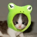 kitty