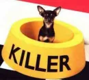 killer