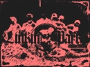 LP