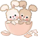 cute bunnys