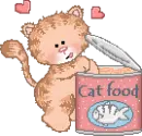 kitty