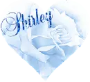 Shirley